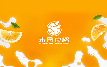 某良橙——深圳LOGO设计